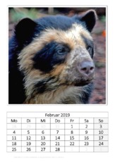 Februar_Brillenbär_1.pdf